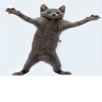 kwttnn