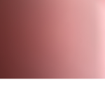 Pulpo tonto