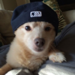TC| Tusk clothes