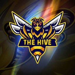 The HIVE | Main Gym