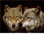 The super wolf killers