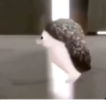 Mvboops