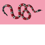 https://www.roblox.com/groups/33378775/Slitherich#