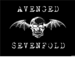 Avenged Sevenfold band :D