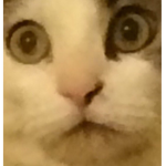 丅ℍ乇 Ꮙꍟяү tᏒυsтωσ𝓇t𝒽ꌩ ᗰι∂∂ℓeмεᏁ