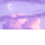 ~violet's sunshines~