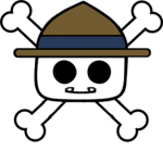 The Wizard Pirates