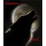 Wolves of the shadows