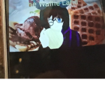 THE WAFFLE LAND