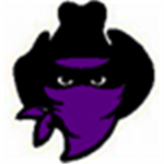 Texas Bandits (MLL)