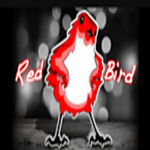 [Game Developing Group] Red Bird Studio