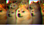The Doge Kingdom Association