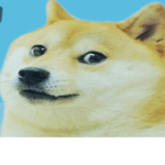 Doge Studio Group World
