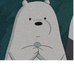 Bears group<3