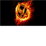 Hunger Games Fan Club!!