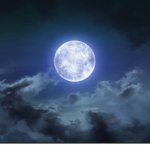 Moonlightt Clan
