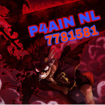 P4IN NL