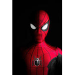 Dragon spider