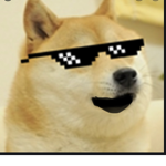 PROFESSIONAL DOGE GROUP
