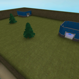 capture the flag!