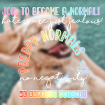 preppy normals <3