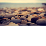 Bay_Friends