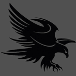 The Black Eagles Of Roblox