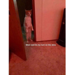 Mom said it was my turn on the x box