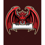 DragonFire Team