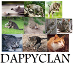 Dappyclan