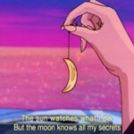 🌙-ˋ˚.𝑺𝒉𝒆