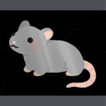 - Rαt gαng -