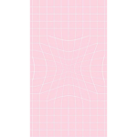 DGMP11