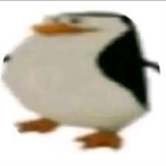 Penguin clothing line!