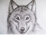 FANS de MIA FOXYY