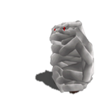 Mummy Chomik