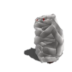 Mummy Chomik