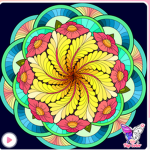 The Color full flowers x of ayla