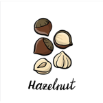 HazelNut the nut squad