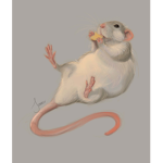 THE RATS BY THE BEST