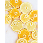 •~Lemonpie~•