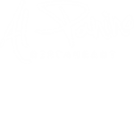 A R I C H A N E L Co.