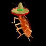 Senior roach’s fiesta