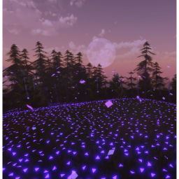 :Enclosed Serenity:
