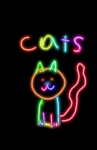 THE MEOW MUSEUM
