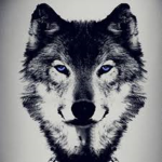 GamingWolf _ Empire