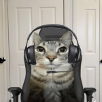 NekoTaro
