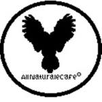 All Naturale' Cafe