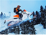 arctic cat group
