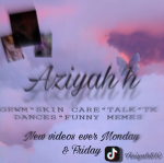 Alixahh’s Bloxbuilds